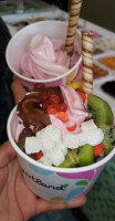 Yogurtland food