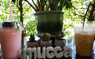 Muccaspecialtycoffeebar food