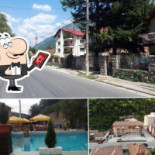 Trandafirul Galben Extérieur