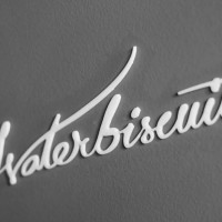 Waterbiscuit food