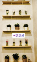 Gadani inside