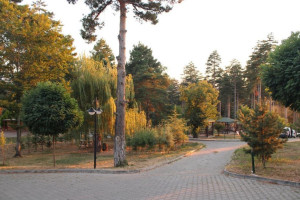 Abana Seyir Teras Düğün Salonu Restoran Kafe outside