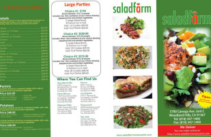 Saladfarm Sherman Oaks Galleria food