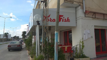 Toro Fish outside