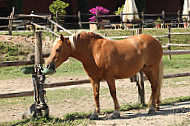 Azienda Agricola Isolone outside