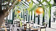 Clementine Im Glashaus food