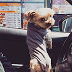 Golden Chick outside