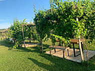 Bolgheri Green outside