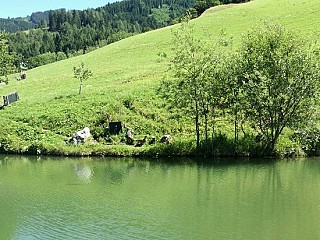 Berggasthof Kohlschnait