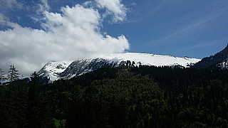 Cabane du petit oiseau