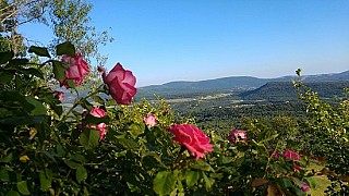 Les Jardins de Bargeme