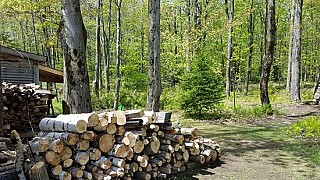 Cabane a sucre Chez Dany