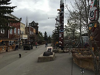 The Saskatoon Farm Cafe