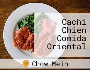 Cachi Chien Comida Oriental