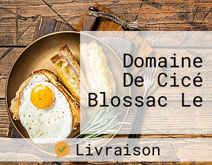 Domaine De Cicé Blossac Le