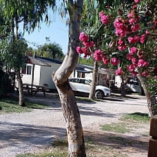 Camping Ampolla