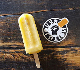 Revolution Artisan Pops Factory