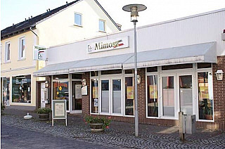 Mimosa Sulingen