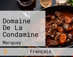 Domaine De La Condamine