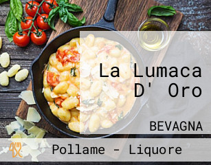 La Lumaca D' Oro