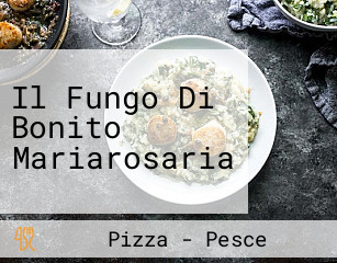 Il Fungo Di Bonito Mariarosaria