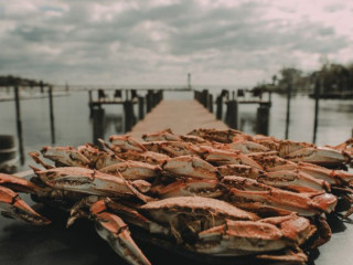 Dock of the Bay