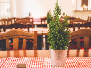 Zollhaus Biergarten