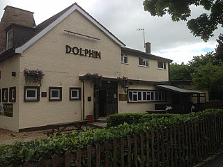 The Dolphin