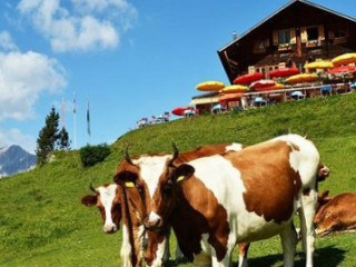 Berghotel Oeschinensee Familie Wandfluh