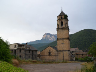 Fonda Carrera