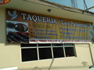 Las Palomas Gordas, Habas Con Cesina