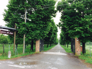 Agriturismo La Lupa