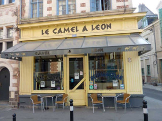 Camel à Léon