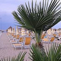 Le Canarie Pescara