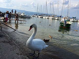 Le Clos du Lac