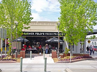 Grazing at Farmer Feld's