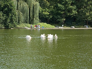 Seerestaurant Café Im Luisenpark Mannheim