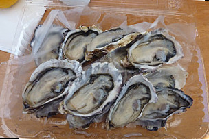 Coromandel Oyster Company