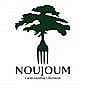 Noujoum