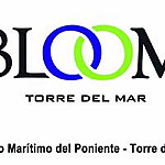 Taberna Miramar Bloom