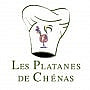 Les Platanes De Chénas