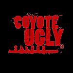 Coyote Ugly Saloon