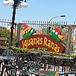 Iguanas Ranas Aljarafe