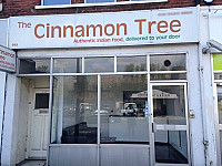 Cinnamon Tree