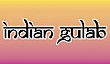 Indian Gulab