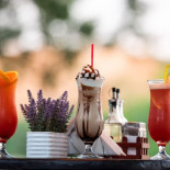 Prodecor Garden global.