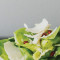 Salată De Casă