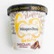 Haagen Dazs Pint Chocolate