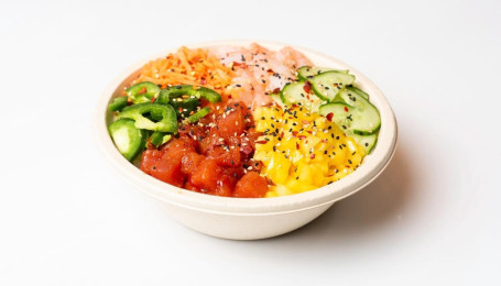 Dynamite Bowl (Regular New)