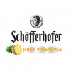 Ananas Suculent Schöfferhofer